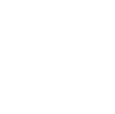 ICT Waarborg